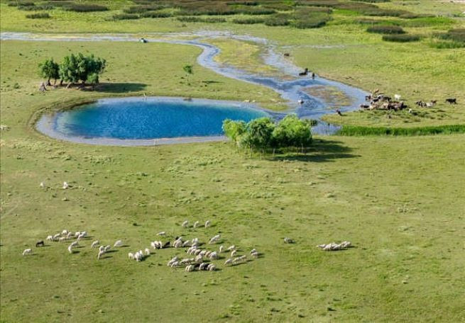 Beyşehir Gölü'nde suların çekilmesiyle doğal gözeler ortaya çıktı - Resim: 5