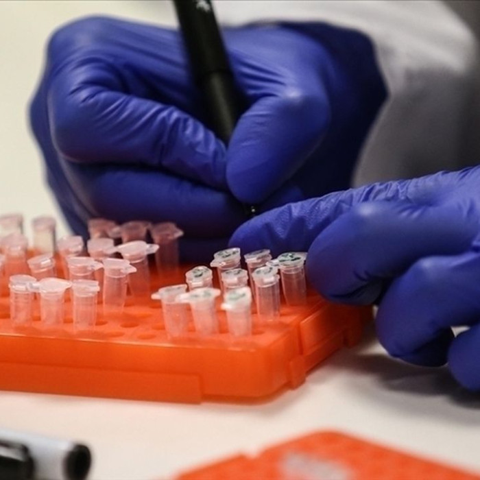 Gut testing. Gut testing