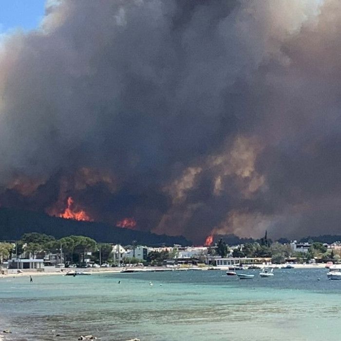Çanakkale'de orman yangını