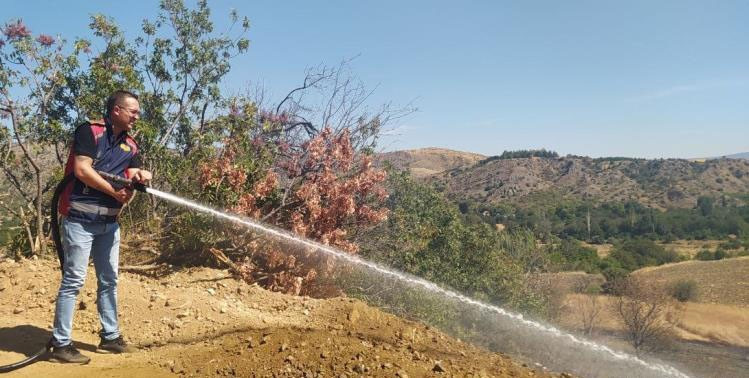 İskilip’te anız yangını korkuttu! - Resim : 2