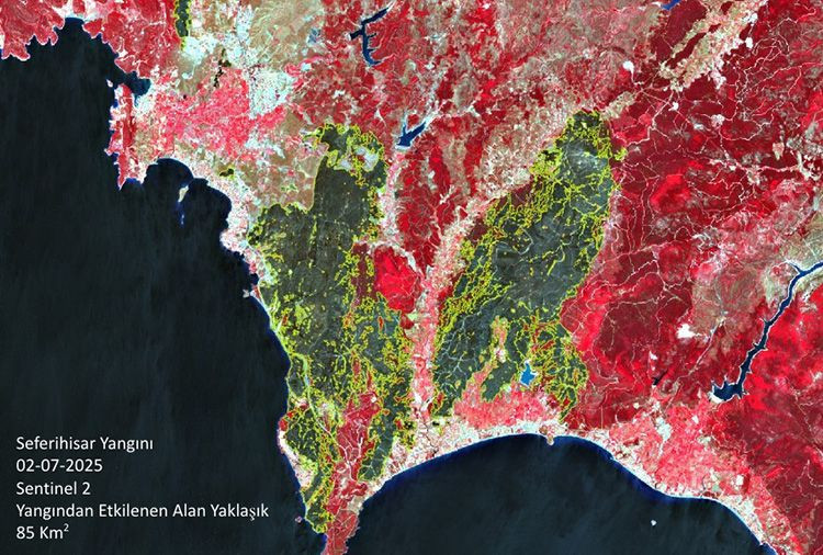 Uzaydan görüntülendi: Türkiye’de 32 bin futbol sahası büyüklüğünde alan yandı - Resim: 4
