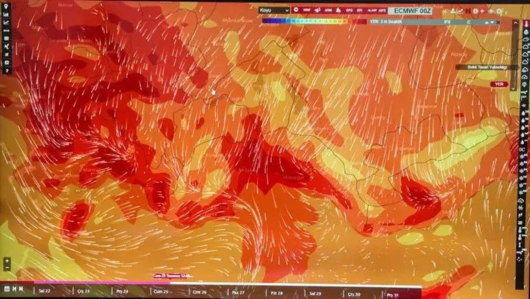 Türkiye'de kavurucu sıcaklıklar rekor getirdi! İşte en yüksek derece - Resim: 2