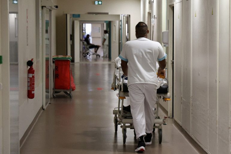 Kaplan sivrisineği Avrupa'ya sıçradı: DSÖ alarma geçti - Resim: 4