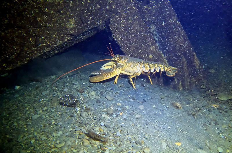 17 Ağustos Marmara Depremi’nin batık şehri su altında görüntülendi! - Resim: 9