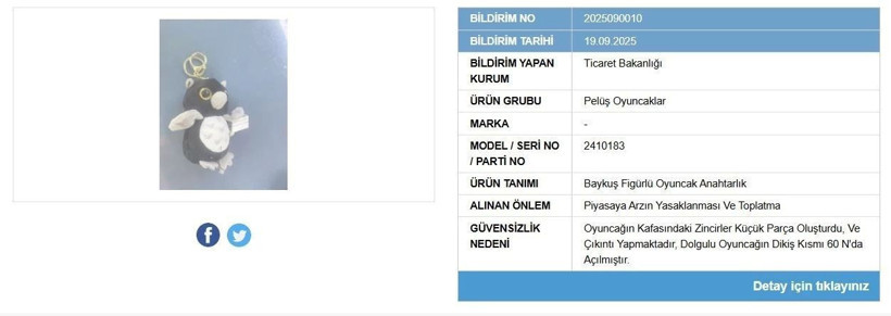 Ticaret Bakanlığı 5 üründe tehlike tespit etti: Piyasadan toplatılıyor - Resim : 5