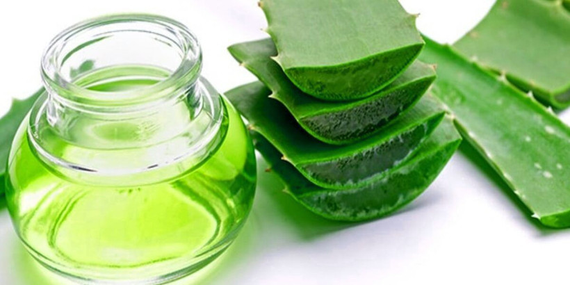 Yaşlanma belirtilerini 10 dakikada yok eden doğal karışım nasıl hazırlanır? Aloe vera ne işe yarar nasıl kullanılır? - Resim: 5
