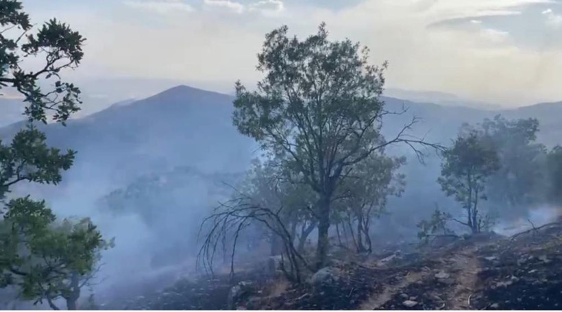 Siirt'te peş peşe yangınlar! 3 orman ve 2 arazi yangınına müdahale edildi - Resim: 2
