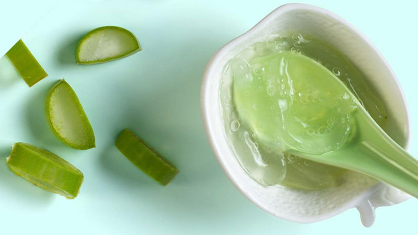 Yaşlanma belirtilerini 10 dakikada yok eden doğal karışım nasıl hazırlanır? Aloe vera ne işe yarar nasıl kullanılır? - Resim: 3