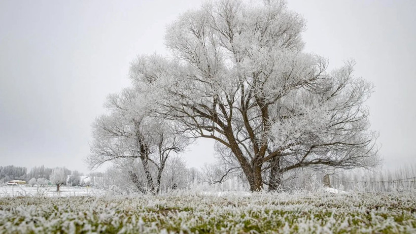 İstanbul ve Ankara dahil 79 il için alarm verildi: İşi olmayan dışarı çıkmasın! - Resim: 7