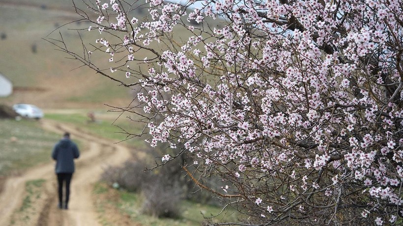 Meteorolojiden 53 il için sağanak alarmı: Bardaktan boşalırcasına yağacak! - Resim: 25