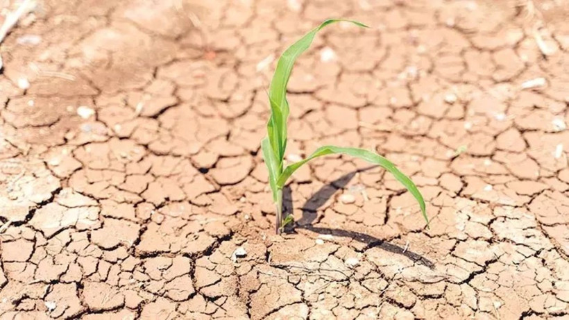 81 il için kuraklık raporu: Hangi bölgeler alarm veriyor? - Resim: 6