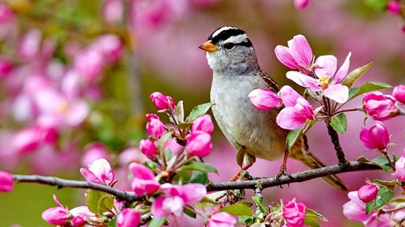 Meteoroloji’den 47 ile aşırı sıcak uyarısı: 45 dereceye yaklaşıyor! - Resim: 12
