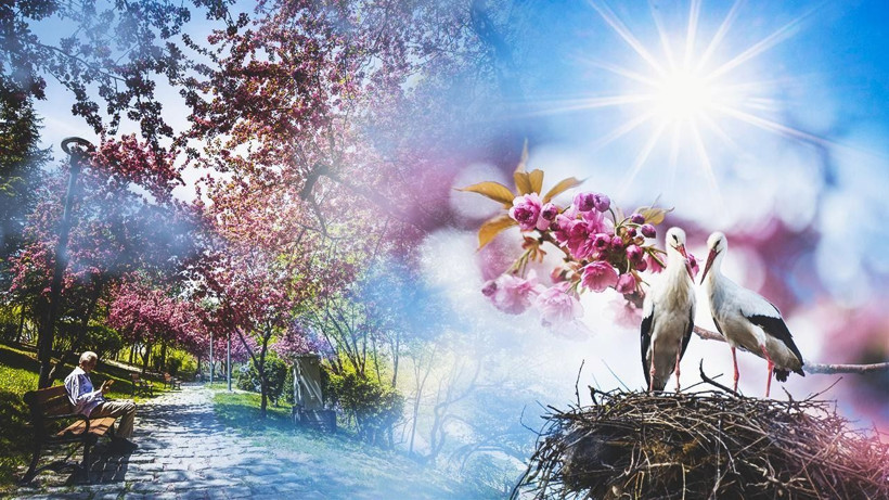 Sıcaklık rekorları geliyor! Meteoroloji bu 12 şehre dikkat çekti - Resim: 14