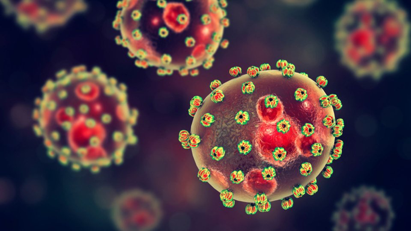 Kanamalı ateşle başlayan salgın korkutuyor: 162 can kaybı - Resim: 7