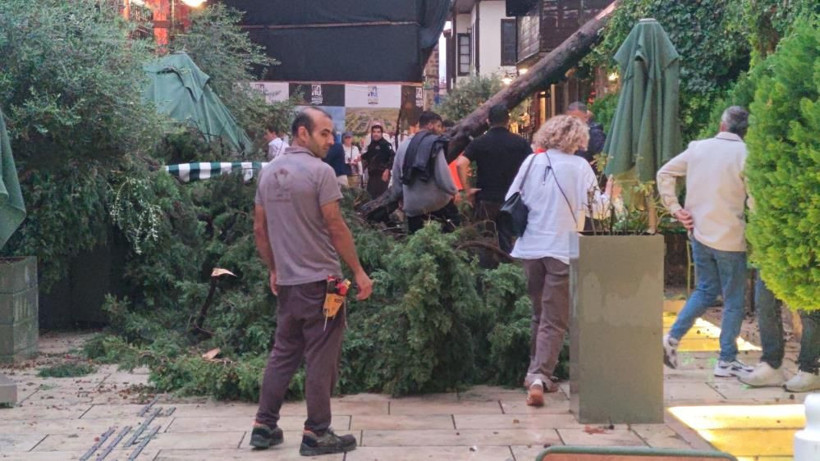 Antalya’da şiddetli yağış ve rüzgar etkili oldu: Devrilen ağacın altında kalan 3 kişi yaralandı - Resim: 2