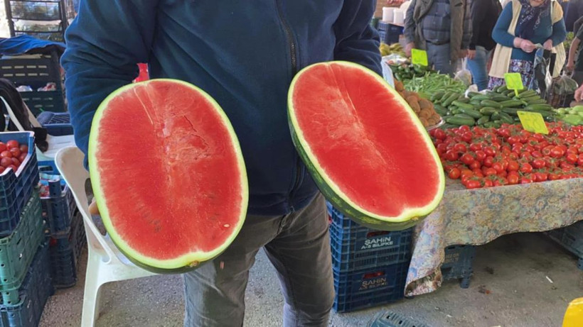 İlk karpuz pazara indi: Kilosu 50 TL, dilim dilim satılıyor! - Resim: 2