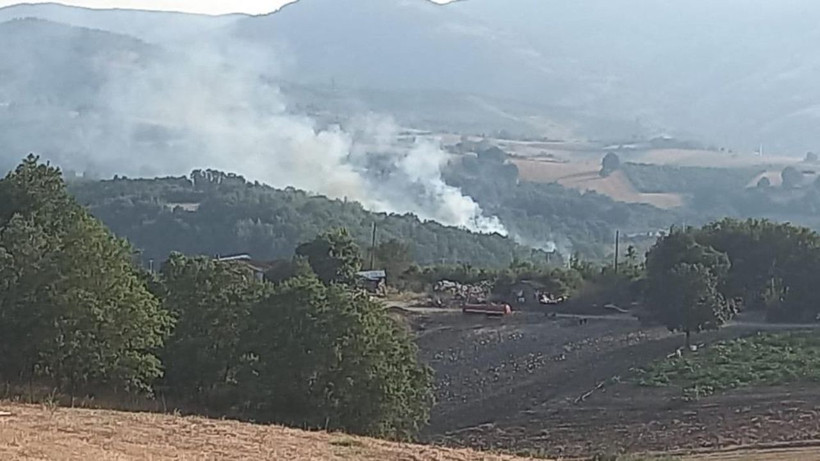 Kocaeli'de yangın: Trafo patladı, ormanlık alan kül oldu... - Resim: 5