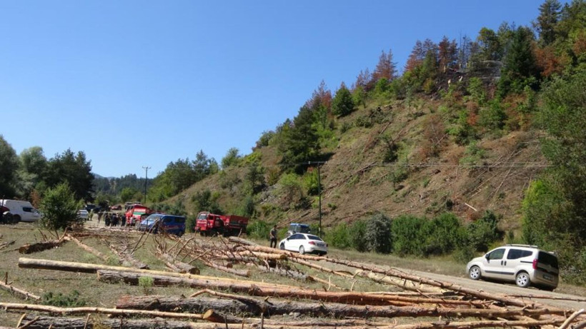 Kastamonu’da ağaç kesimi faciaya dönüştü! 1 kişi hayatını kaybetti, 1 kişi yaralandı - Resim: 3