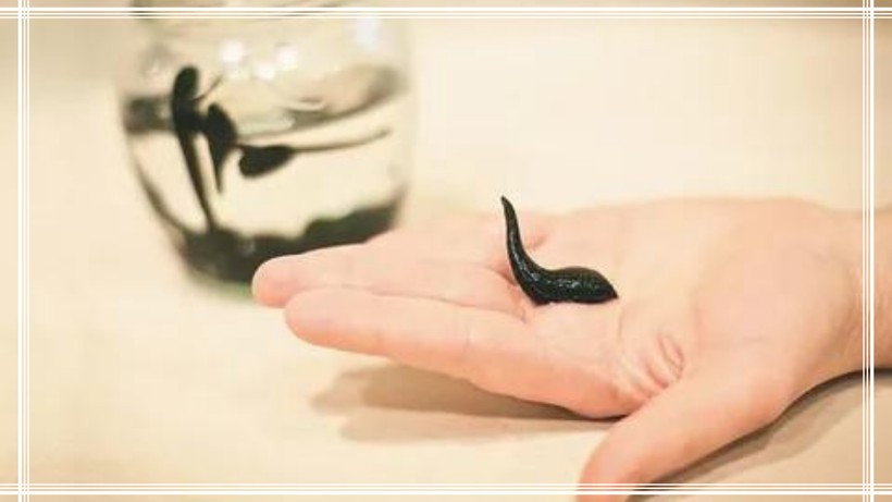 Botoks Etkisi Yapan Böcekler! Antik Mısırlı Kadınların Vazgeçilmezi! - Resim: 4