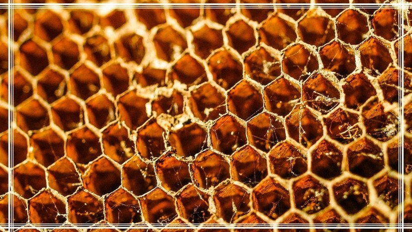 Bal Yediğimizde Bakın Vücudumuzda Neler Oluyor! Bal Eczane İlaçlarından Daha Güçlü - Resim: 1