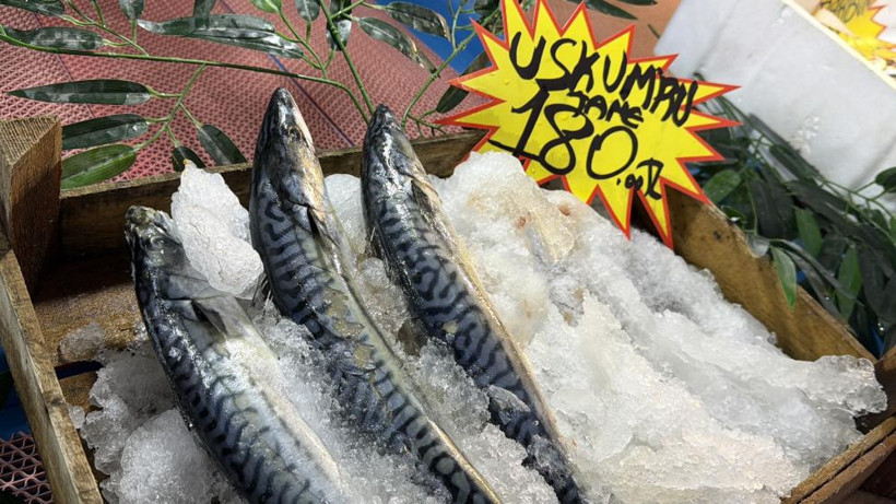 Karadeniz’de palamut rotayı değiştirince tezgâhlarda hamsi akını başladı - Resim : 1