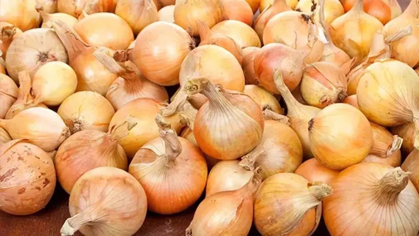 Soğanlarınız sürekli filizleniyor mu? Yanına bunu koymanız yeterli - Resim: 8