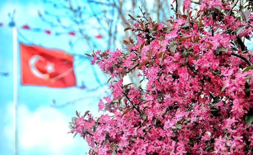 Ağustos sıcağı kavuruyor: Termometreler 41 dereceyi gösterecek, işte o iller 🔥 - Resim: 3