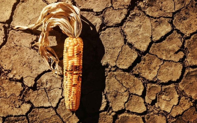 81 il için kuraklık raporu: Hangi bölgeler alarm veriyor? - Resim: 12