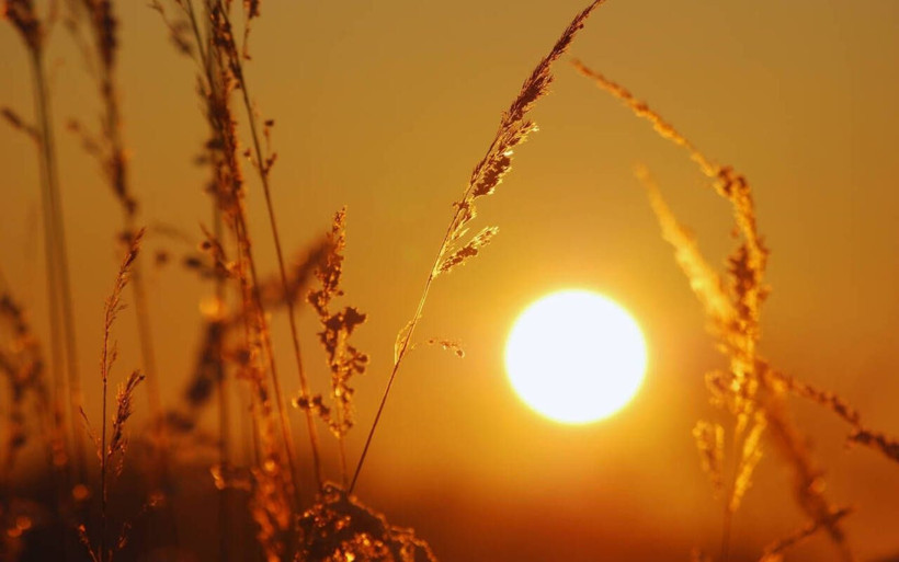 Bu şehirlerde hayat duracak! Meteoroloji kavurucu sıcaklık için uyardı - Resim: 16