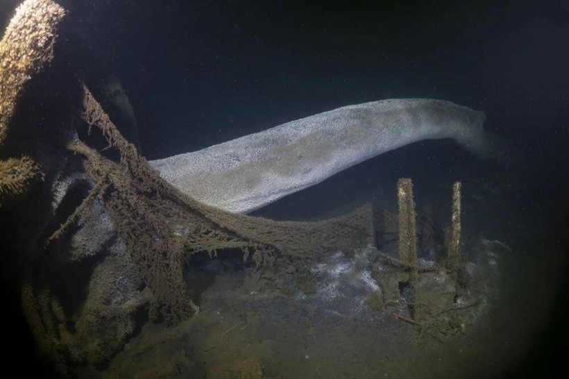 17 Ağustos Marmara Depremi’nin batık şehri su altında görüntülendi! - Resim: 2
