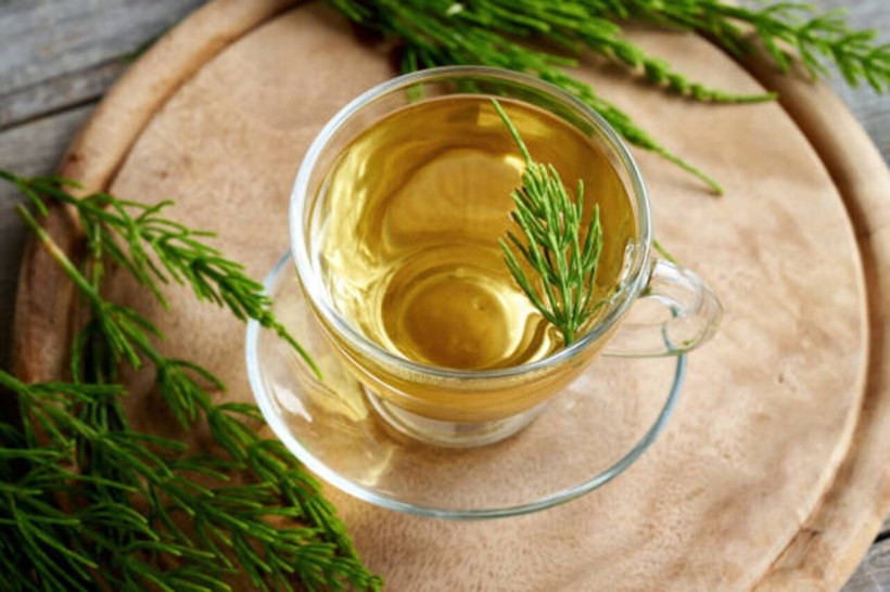 Şifalı bitkilerin yıldızı: Kırkkilit otu nedir, nelere iyi gelir? İşte bilinmeyen faydaları... - Resim: 7