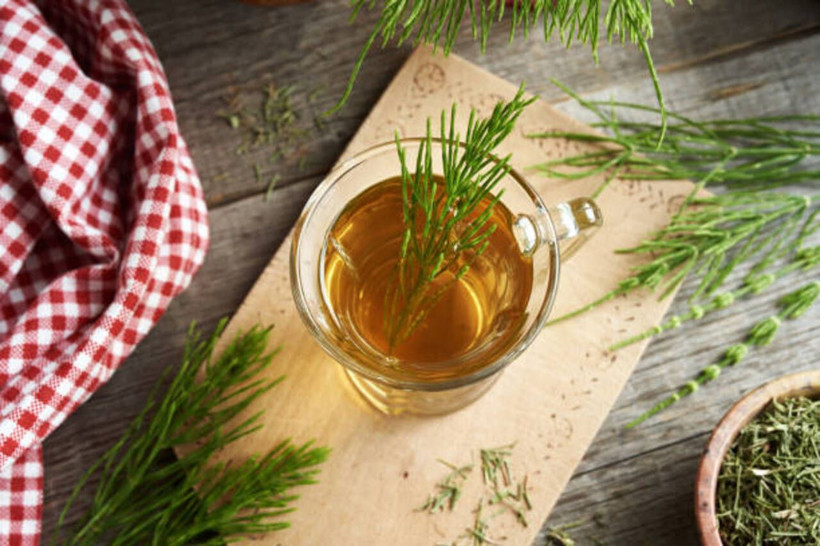 Şifalı bitkilerin yıldızı: Kırkkilit otu nedir, nelere iyi gelir? İşte bilinmeyen faydaları... - Resim: 8