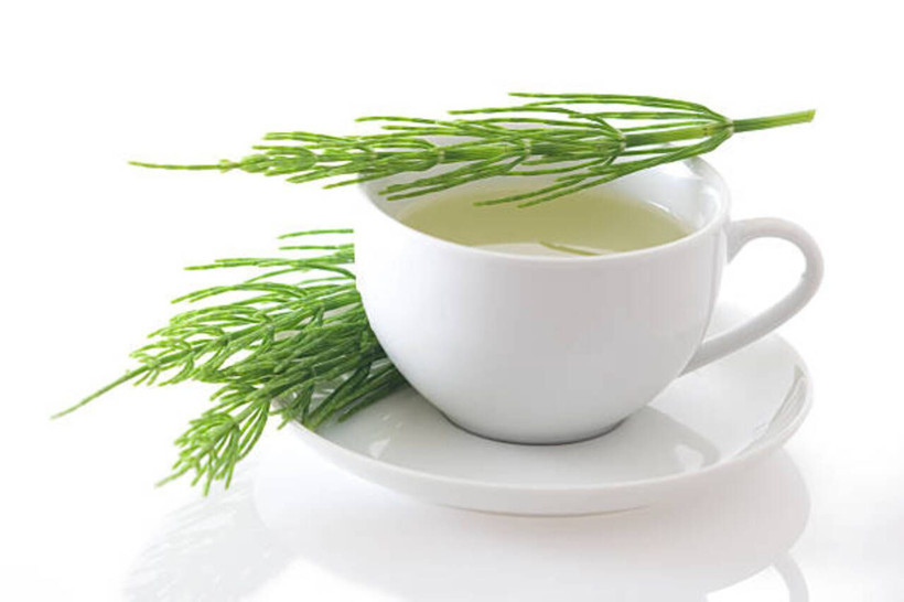 Şifalı bitkilerin yıldızı: Kırkkilit otu nedir, nelere iyi gelir? İşte bilinmeyen faydaları... - Resim: 16