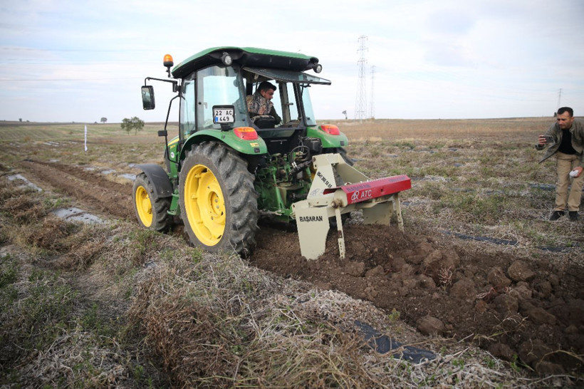 Formülü casuslar tarafından çalınan 'efsane renk' için kazanlar kaynadı! Edirne kırmızısı bitkisinin hasadı yapıldı! - Resim: 2