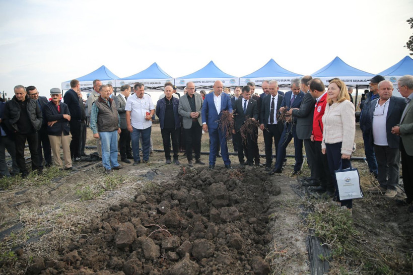 Formülü casuslar tarafından çalınan 'efsane renk' için kazanlar kaynadı! Edirne kırmızısı bitkisinin hasadı yapıldı! - Resim: 9
