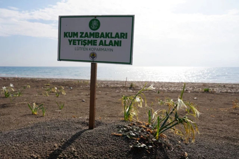 Sakın dokunmayın! Bu çiçeği koparmanın cezası dudak uçuklatıyor: Tam 2 milyon 800 bin lira! - Resim: 8