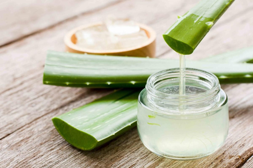Yaşlanma belirtilerini 10 dakikada yok eden doğal karışım nasıl hazırlanır? Aloe vera ne işe yarar nasıl kullanılır? - Resim: 7