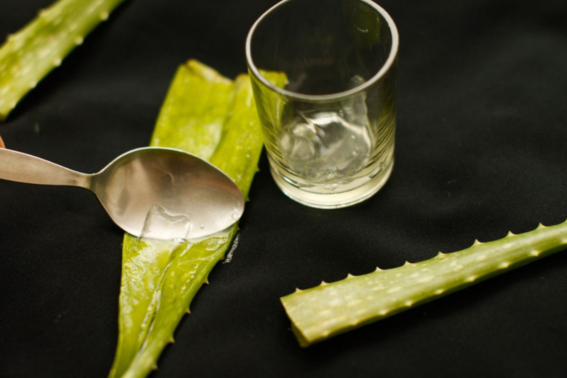 Yaşlanma belirtilerini 10 dakikada yok eden doğal karışım nasıl hazırlanır? Aloe vera ne işe yarar nasıl kullanılır? - Resim: 8