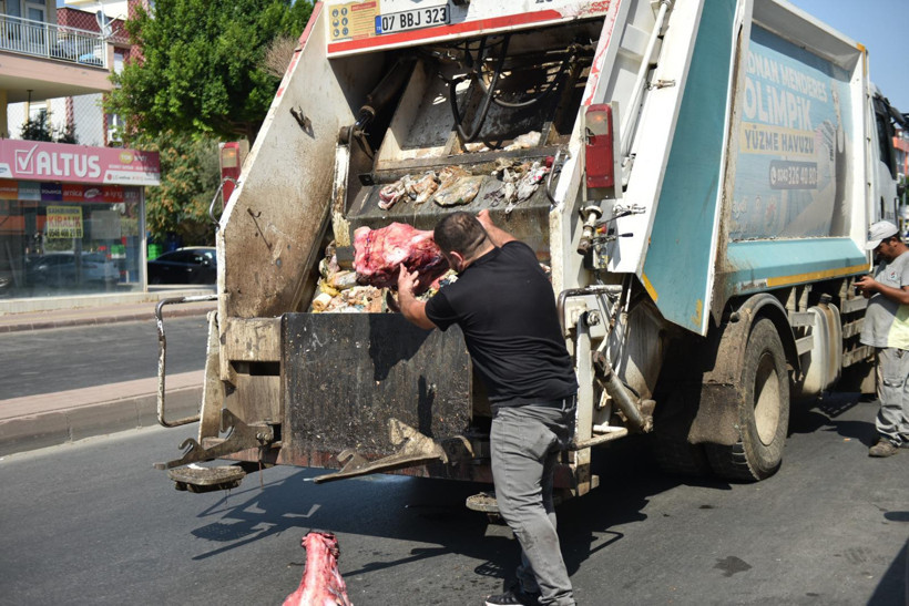 Market denetiminde skandal: Yumurtadan hamam böceği çıktı, depoda son kullanma tarihi geçmiş etler bulundu! - Resim : 1