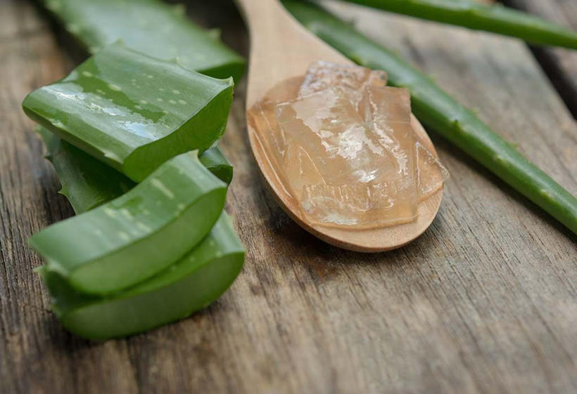 Yaşlanma belirtilerini 10 dakikada yok eden doğal karışım nasıl hazırlanır? Aloe vera ne işe yarar nasıl kullanılır? - Resim: 6