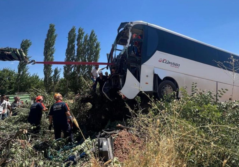 Sürücü direksiyon hakimiyetini kaybetti, otobüs ağacın tepesine çıktı: Yaralılar var - Resim: 5