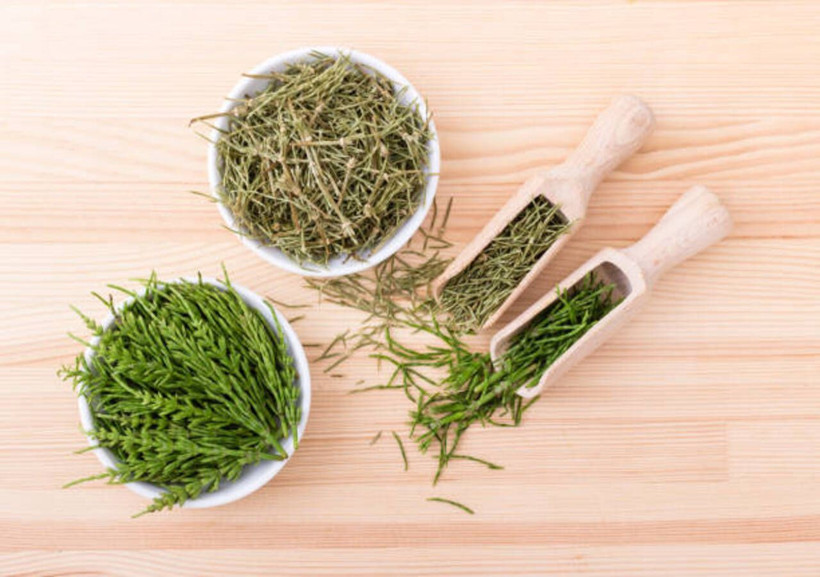 Şifalı bitkilerin yıldızı: Kırkkilit otu nedir, nelere iyi gelir? İşte bilinmeyen faydaları... - Resim: 14