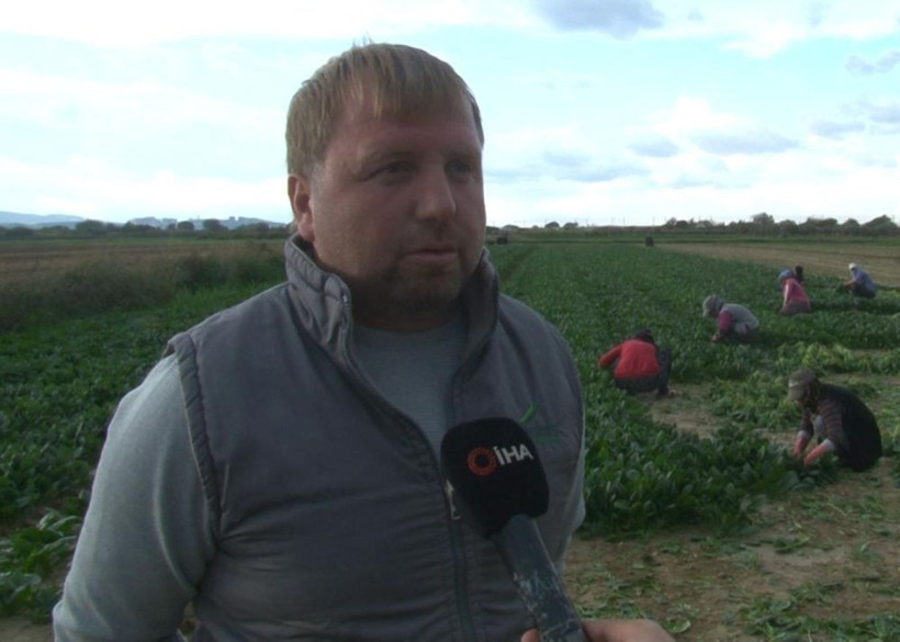 Tarlada 6, pazarda 40 lira! Ispanakta fiyat uçurumu üreticiyi isyan ettirdi - Resim: 6