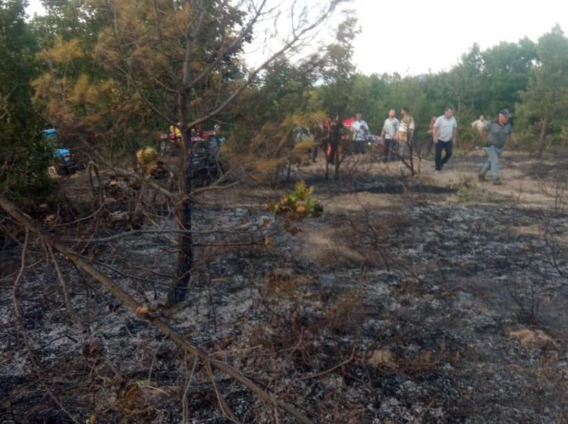 Kocaeli'de yangın: Trafo patladı, ormanlık alan kül oldu... - Resim: 2