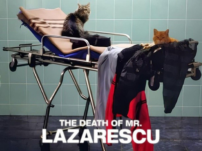 Nuri Bilge Ceylan 21. yüzyılın en iyi 10 filmini açıkladı! İşte sinema ustasının favorileri - Resim: 8