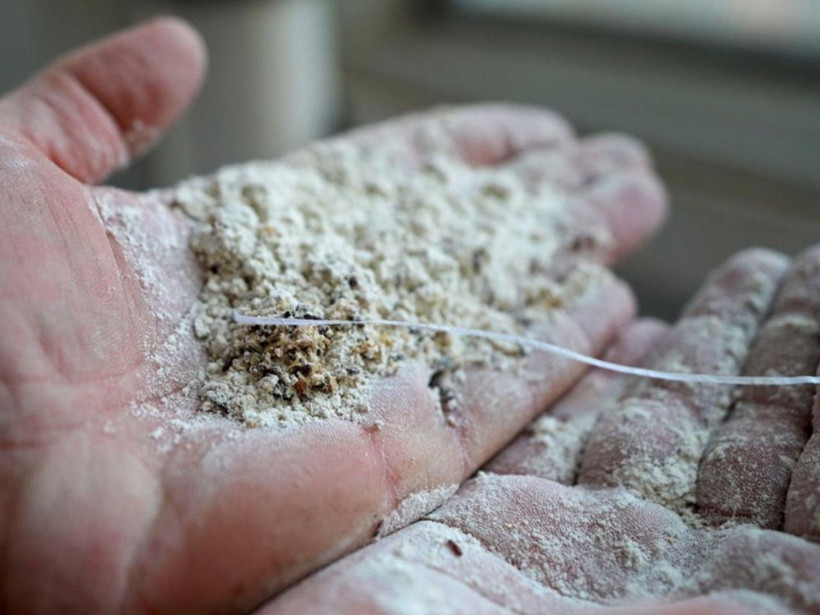 Tarsus’ta gıda skandalı! 30 ton böceklenmiş ve küflenmiş un imha edildi - Resim: 5