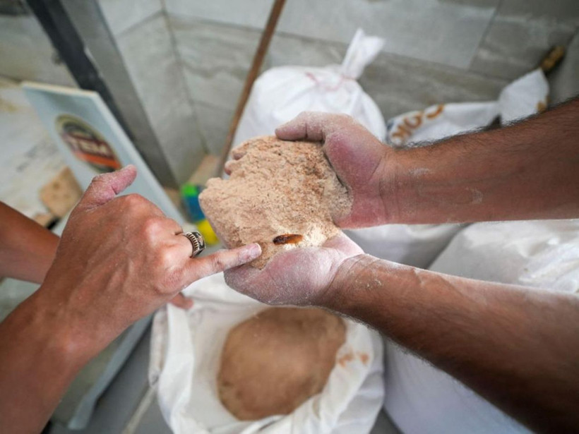 Tarsus’ta gıda skandalı! 30 ton böceklenmiş ve küflenmiş un imha edildi - Resim: 1