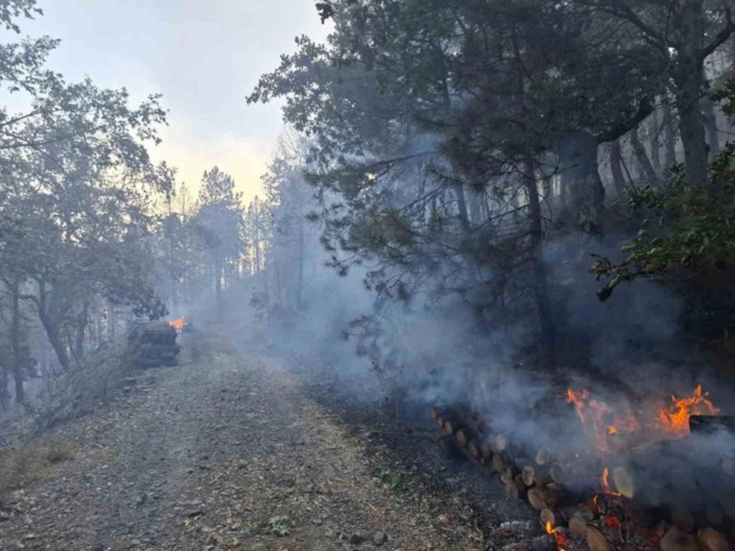 Orman yangını soruşturmasında 9 kişi gözaltına alındı, 1'i tutuklandı. - Resim : 3