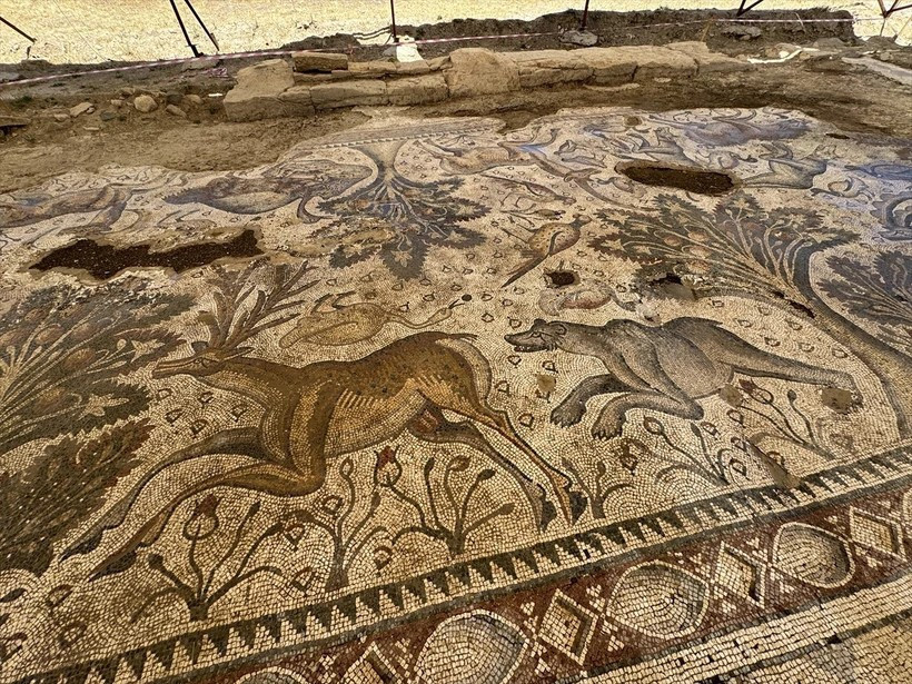 Elazığ'da 1700 yıllık Roma hamamı bulundu: Fidan dikerken ortaya çıktı - Resim : 1