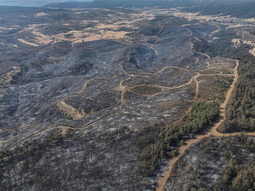 Çanakkale'de yürek yakan bilanço: Binlerce kişi tahliye edildi - Resim : 1